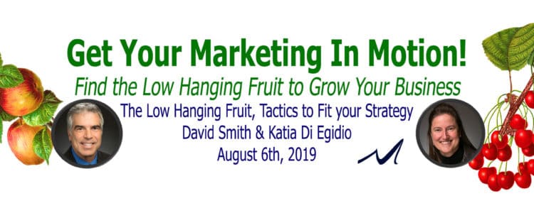 The Low Hanging Fruit, Tactics to Fit your Strategy